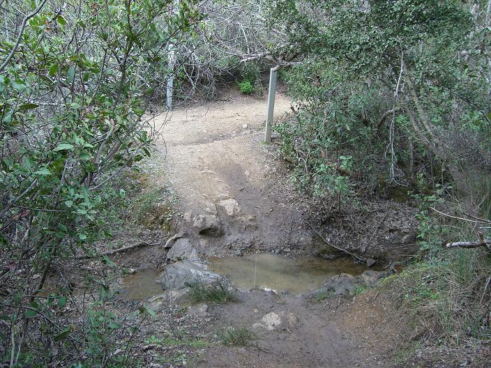 WaterDog Creek