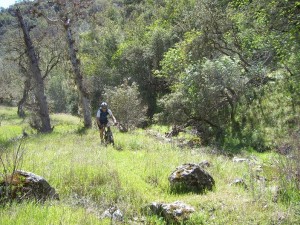 Kelly Cabin Canyon Trail